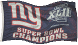 Super Bowl XLII
Champions